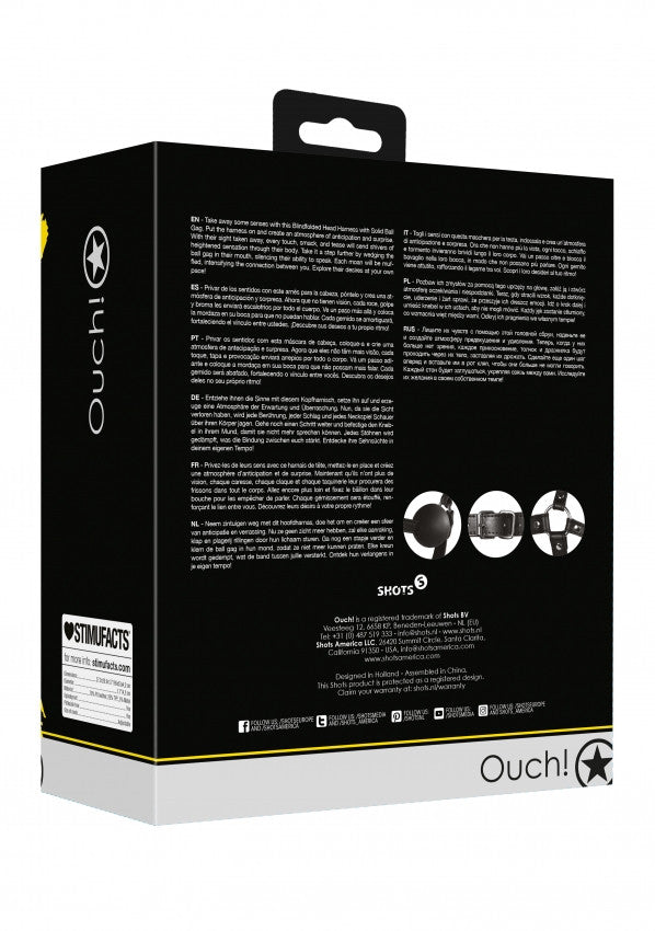 Imbracatura viso con maschera occhi e morso Blindfolded Head Harness with Solid Ball Gag Black